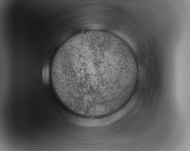 X0000087580014200705181209