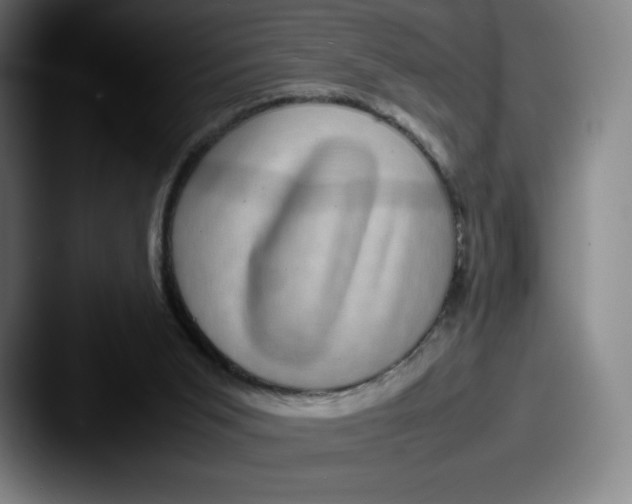X0000087580015200705181209
