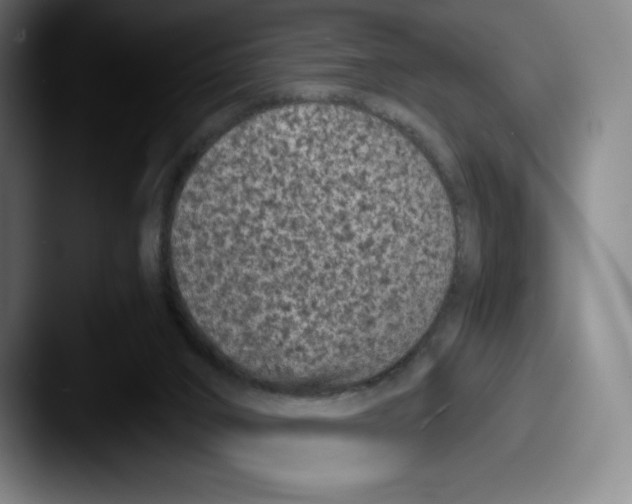 X0000087580016200705181209