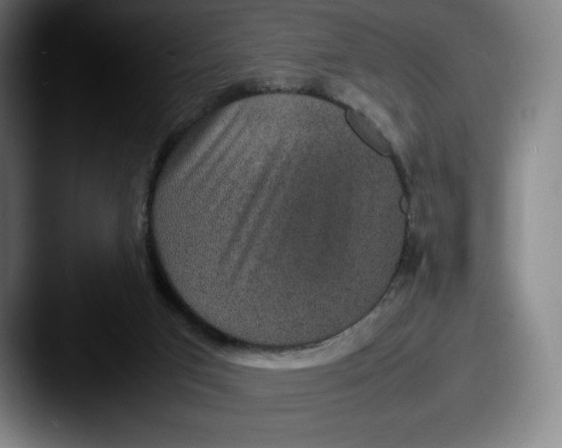 X0000087580017200705181209
