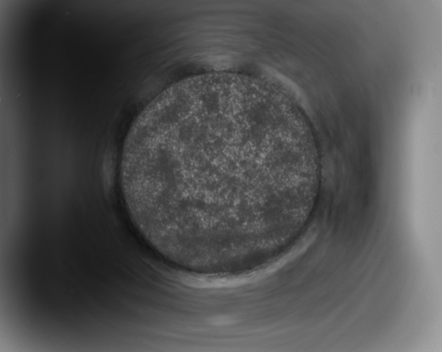 X0000087580018200705181209