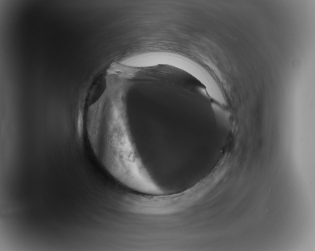 X0000087580019200705181209