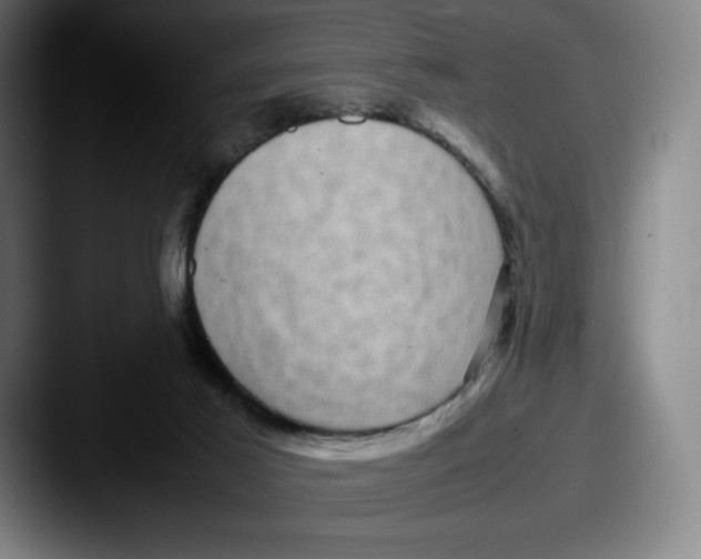 X0000087580021200705181209