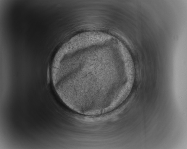 X0000087580022200705181209