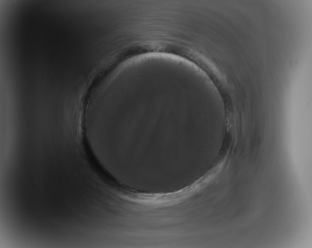 X0000087580023200705181209