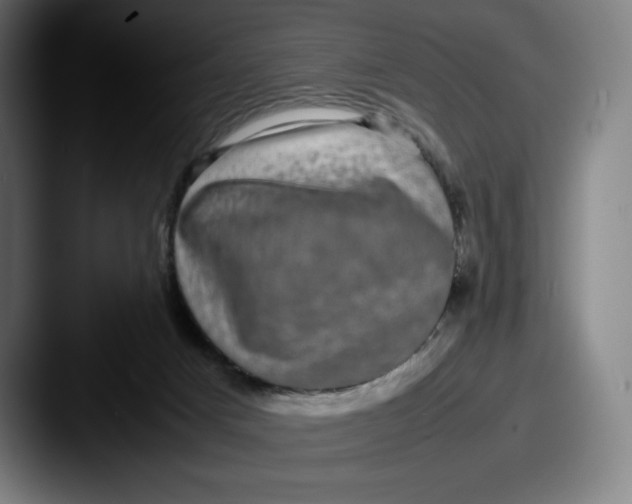 X0000087580025200705181209
