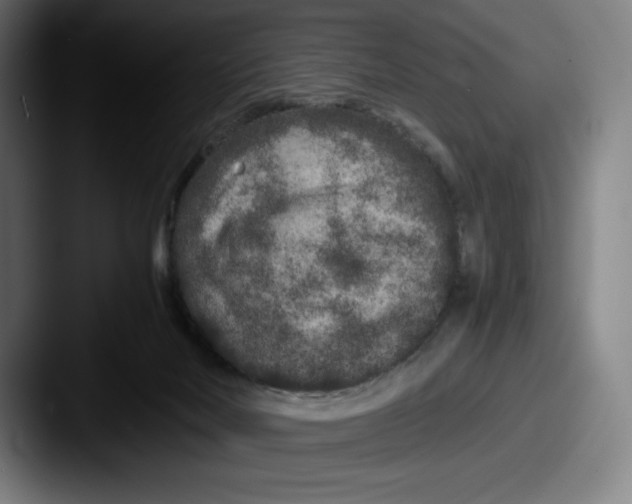 X0000087580026200705181209