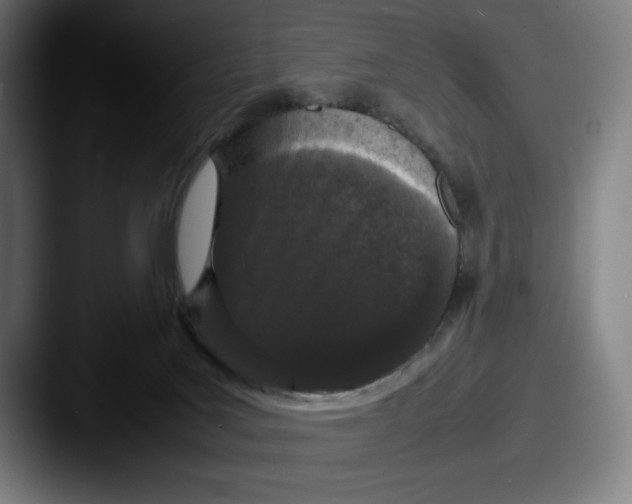 X0000087580027200705181209