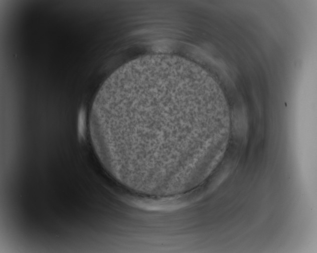X0000087580028200705181209