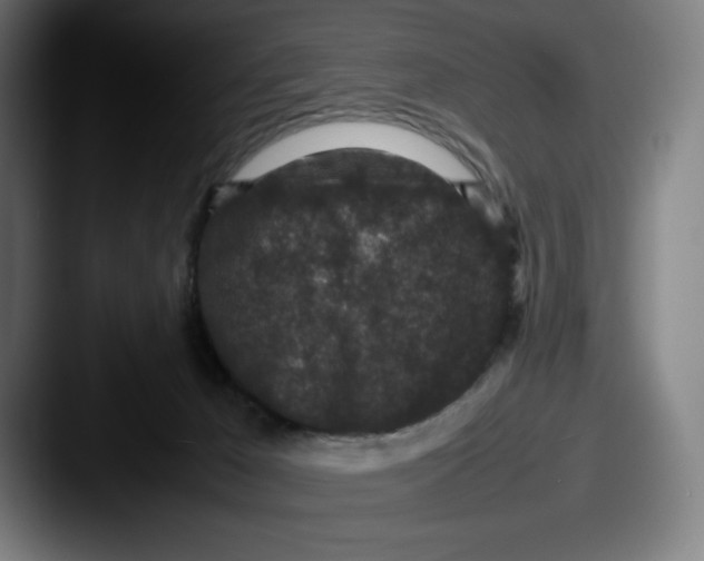 X0000087580029200705181209