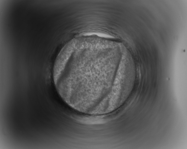 X0000087580032200705181209