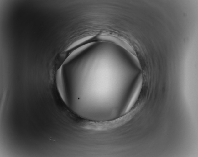 X0000087580033200705181209