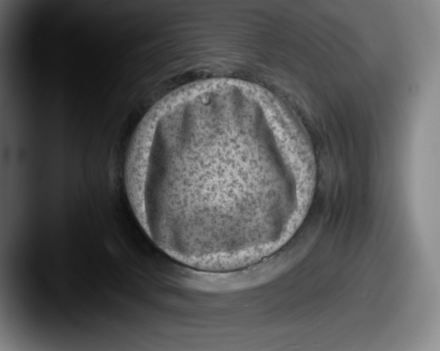 X0000087580034200705181209