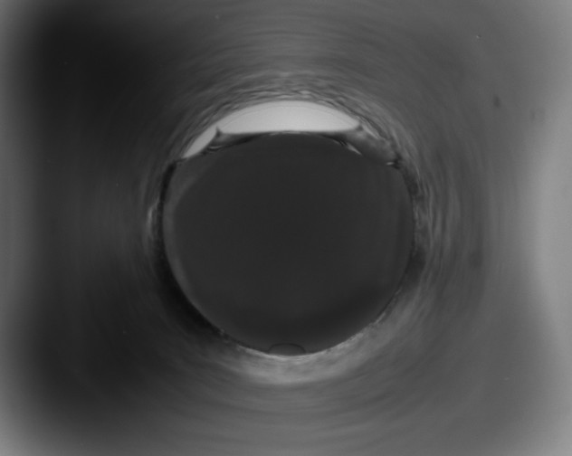 X0000087580035200705181209