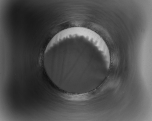 X0000087580036200705181209