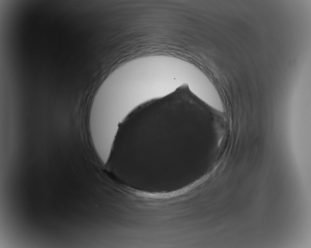 X0000087580039200705181209