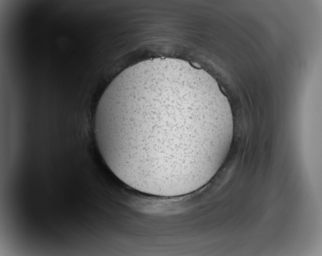 X0000087580040200705181209