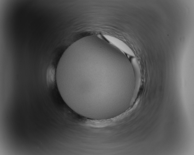 X0000087580041200705181209