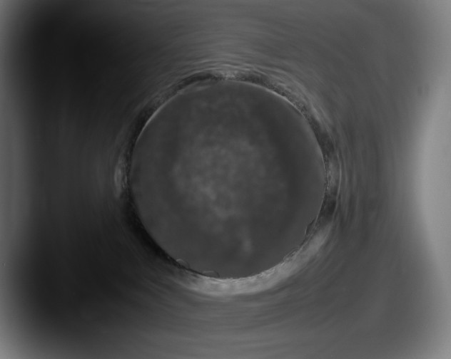 X0000087580043200705181209