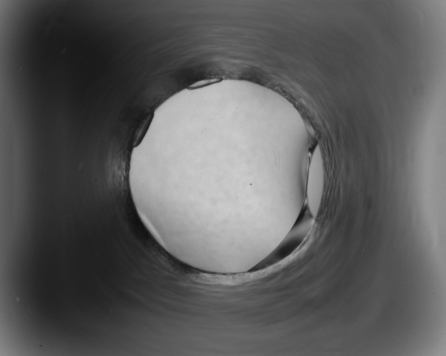 X0000087580045200705181209