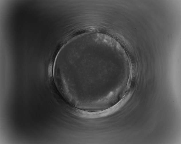 X0000087580047200705181209