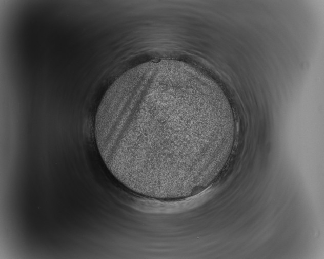X0000087580048200705181209