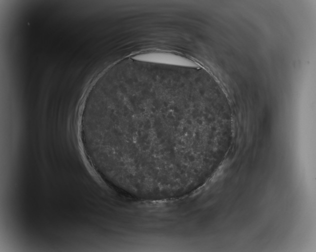 X0000087580049200705181208