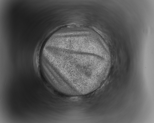X0000087580050200705181208
