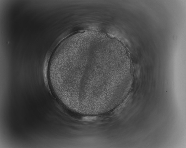 X0000087580051200705181208