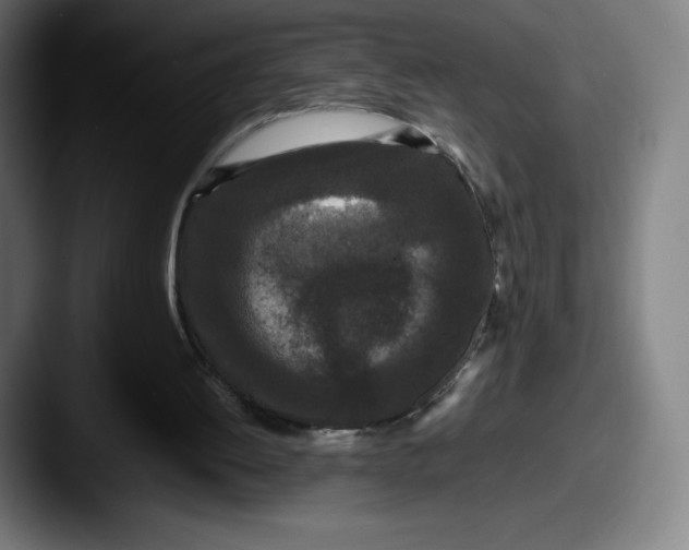 X0000087580052200705181208