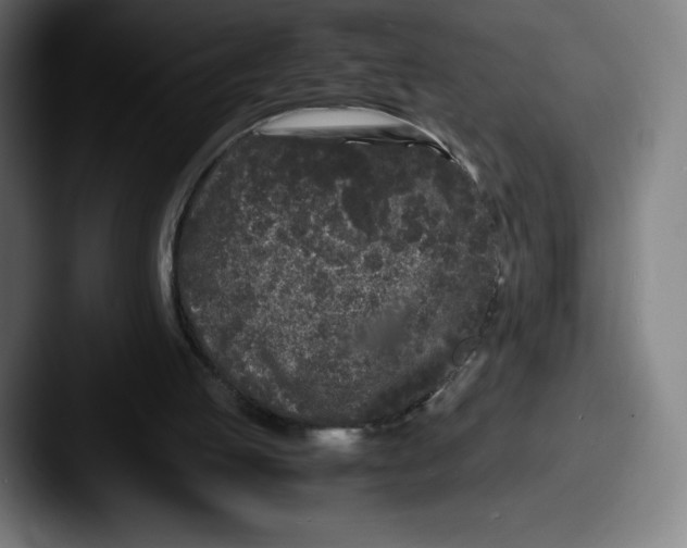 X0000087580053200705181208