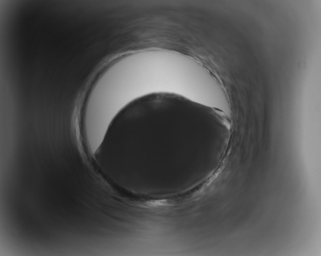 X0000087580054200705181208