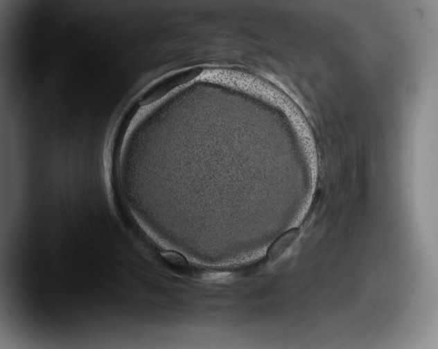X0000087580055200705181208