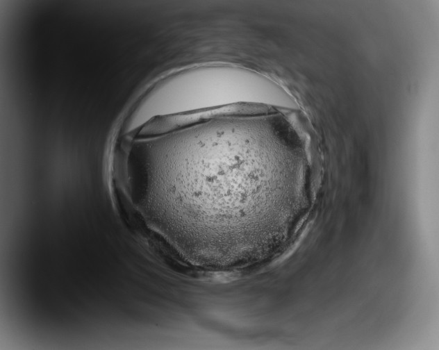 X0000087580056200705181208