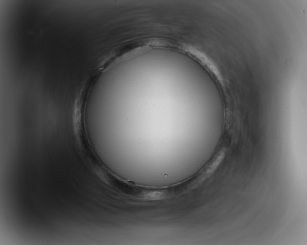 X0000087580057200705181208