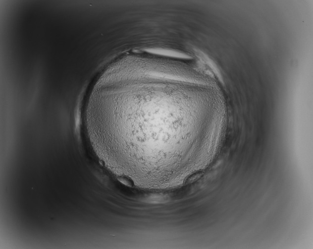 X0000087580059200705181208