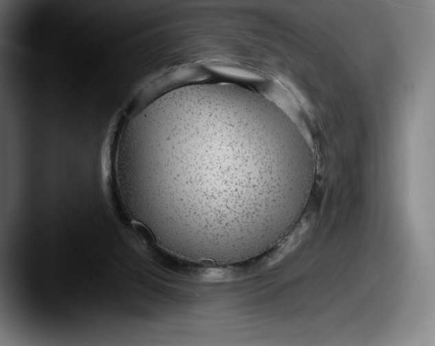 X0000087580060200705181208