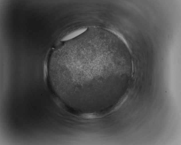 X0000087580061200705181208