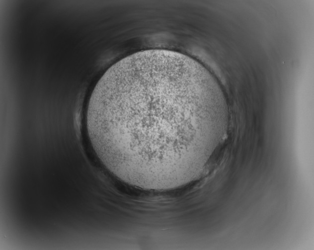 X0000087580063200705181208