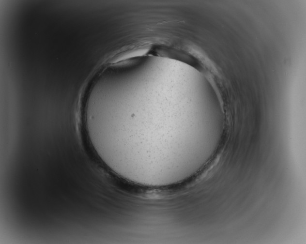 X0000087580064200705181208
