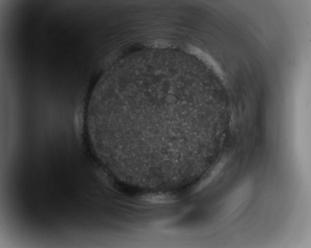 X0000087580065200705181208