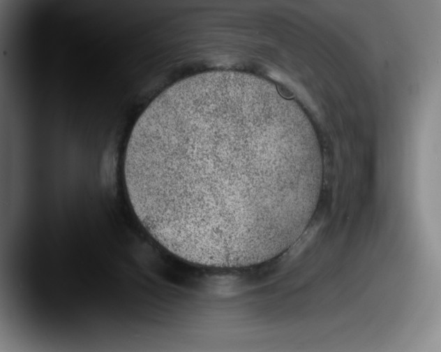 X0000087580066200705181208