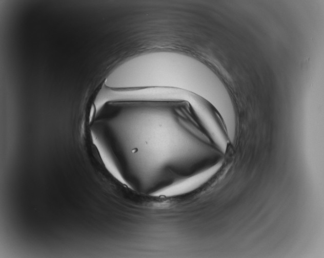 X0000087580068200705181208