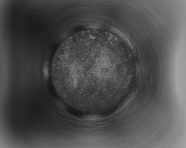 X0000087580069200705181208