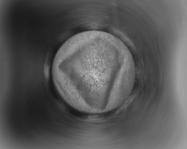 X0000087580070200705181208