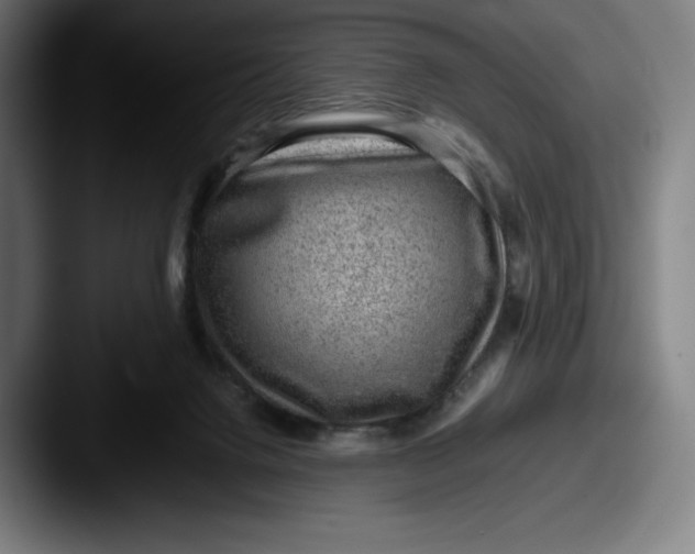 X0000087580072200705181208