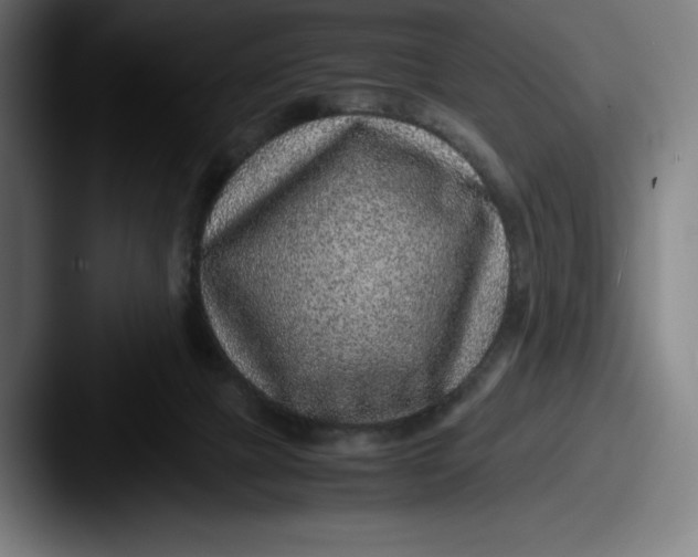 X0000087580073200705181208
