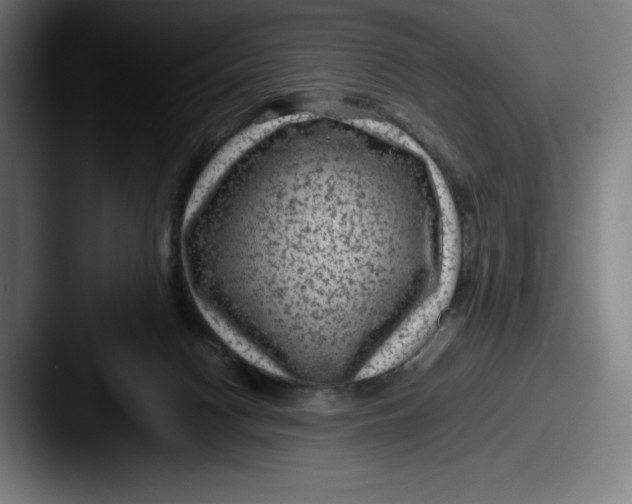 X0000087580074200705181208