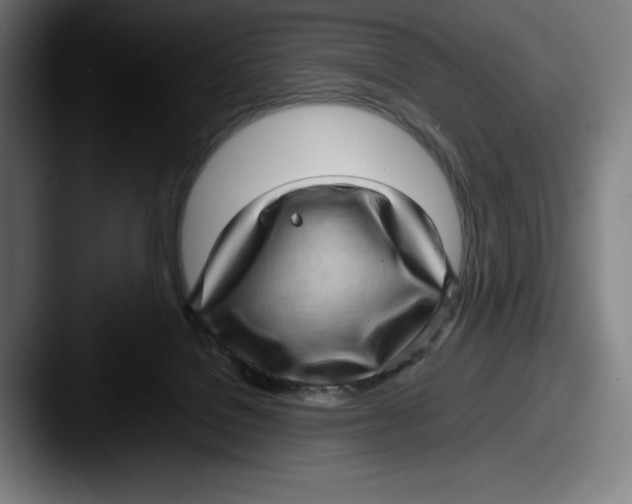 X0000087580076200705181208