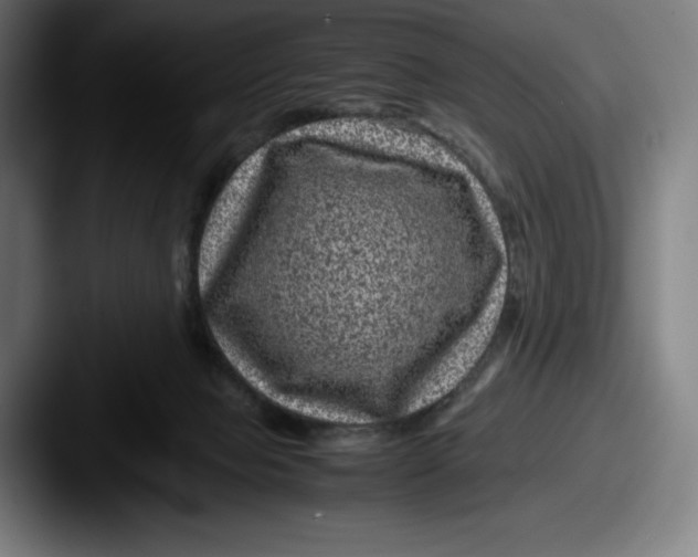 X0000087580077200705181208